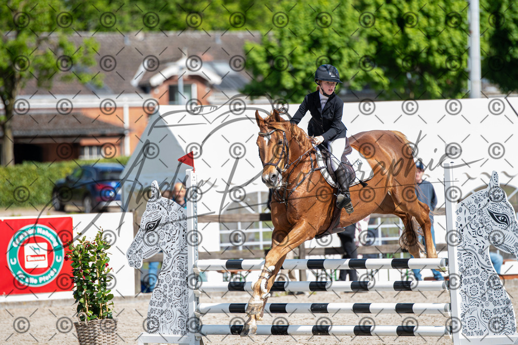 KPT_4896 | andre_photographic