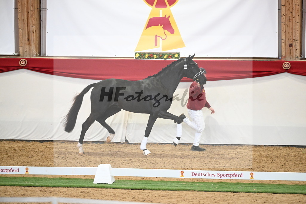 Kat.-Nr. 50 v. Donier_Meyer_2250183 | hf-fotografie - Realisiert mit Pictrs.com