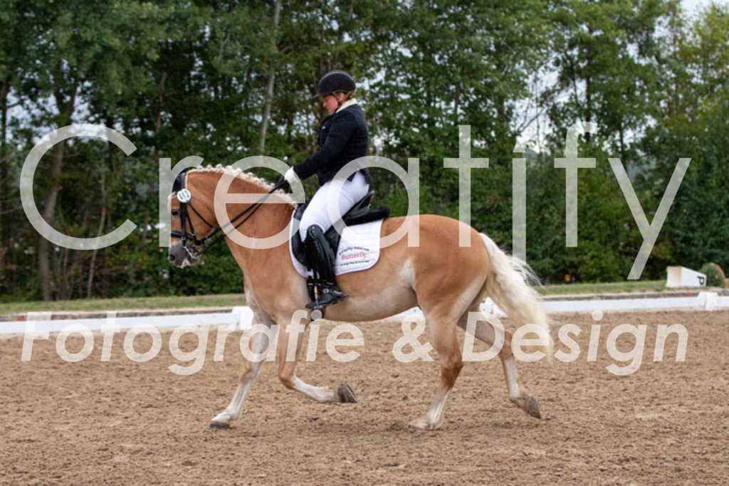 IMG_5806 | Creatify Fotografie