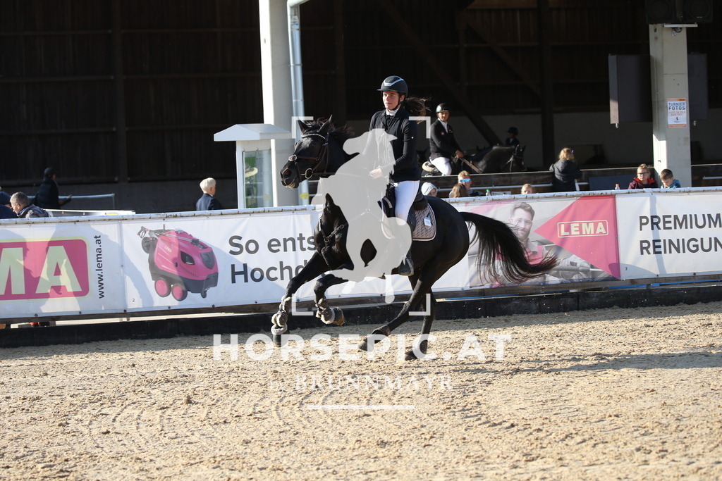 DL2Q5744 | Willkommen bei Brunnmayr - Design & Fotografie – Ihrem Spezialisten für Reitturniere und Pferdeveranstaltungen in Oberösterreich, Salzburg und Bayern! Seit über 17 Jahren sind wir leidenschaftlich dabei.