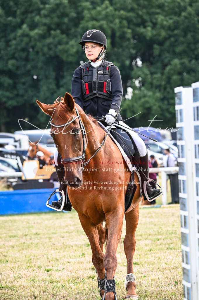 DSC_8437 | Pferde- und Turnierfotografie in Westsachsen. Pferdeportraits, Auftragszeichnungen und intuitive Kunst.