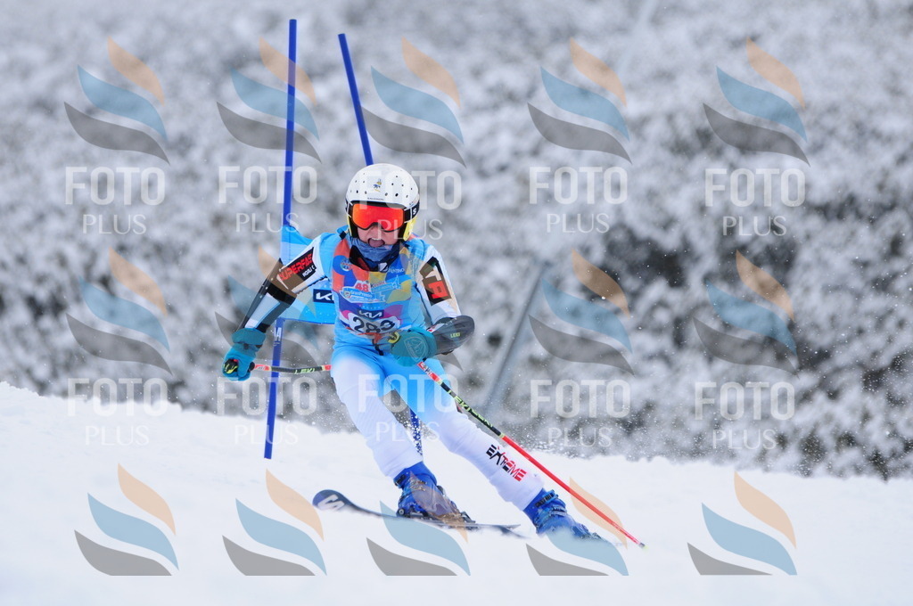 C2984 | holidayphoto