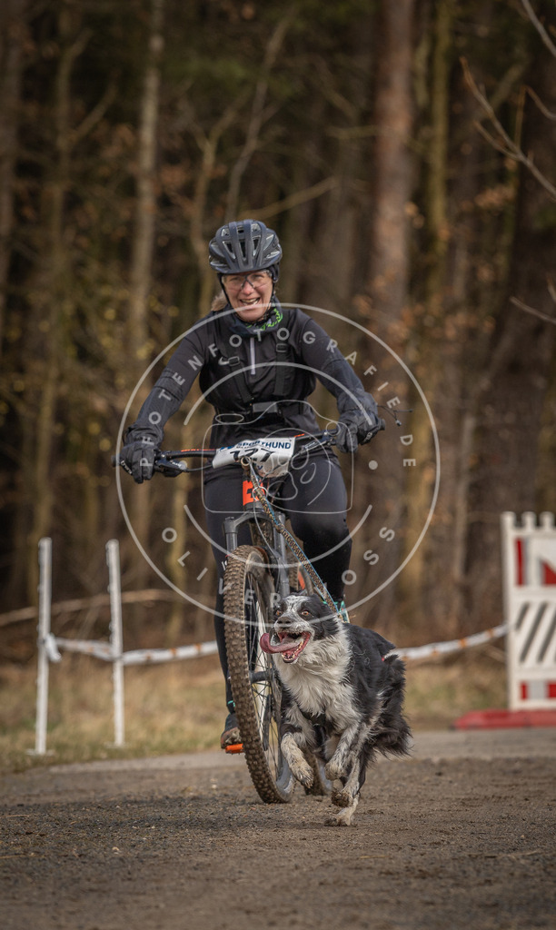 DV3A4544 | Hundefotografie, Tierfotograf, Pfotenfotografie, Fotoshooting Hund, Hunde Portrait, Hundesport, Hundeportraits, Heideshooting, Hunde, Sportfotograf, Hundefotograf, Turnierhundsport, THS,  - Realisiert mit Pictrs.com
