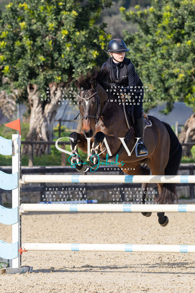 IMG_5769 | s-jay-photography - Realisiert mit Pictrs.com