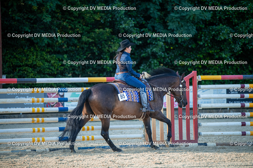 EWP_7207 | dv-media-shop - Realisiert mit Pictrs.com