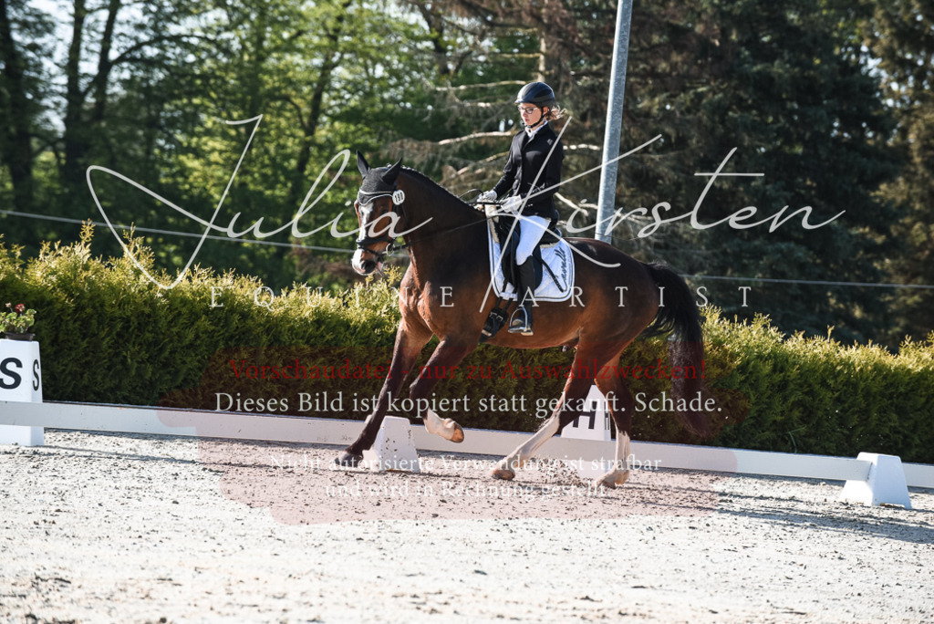 20230518_JK-Röhrsdorf-09-0468 | Pferde- und Turnierfotografie in Westsachsen. Pferdeportraits, Auftragszeichnungen und intuitive Kunst.