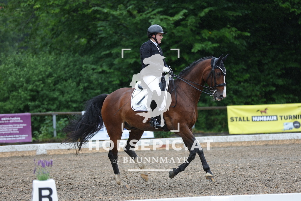 0P6A9153 | Willkommen bei Brunnmayr - Design & Fotografie – Ihrem Spezialisten für Reitturniere und Pferdeveranstaltungen in Oberösterreich, Salzburg und Bayern! Seit über 17 Jahren sind wir leidenschaftlich dabei.