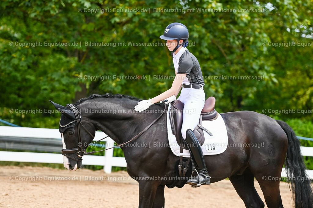 20230715_05_Dressurprüfung Kl.A++_0182 | equistock
