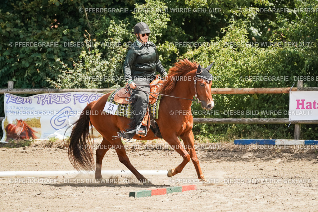 DSC06499 | Pferdegrafie