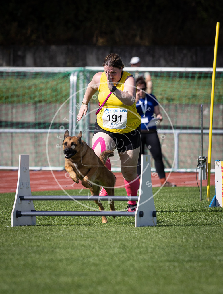 Pfotenfotografie_DV3A0570 | Hundefotografie, Tierfotograf, Pfotenfotografie, Fotoshooting Hund, Hunde Portrait, Hundesport, Hundeportraits, Heideshooting, Hunde, Sportfotograf, Hundefotograf, Turnierhundsport, THS,  - Realisiert mit Pictrs.com