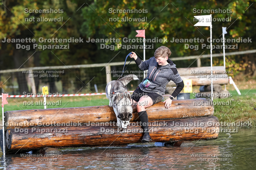 Dog Paparazzi - Strongdog 10-25-8350 | Dog Paparazzi Jeanette Grottendiek Fotografie & Videografie - Realisiert mit Pictrs.com