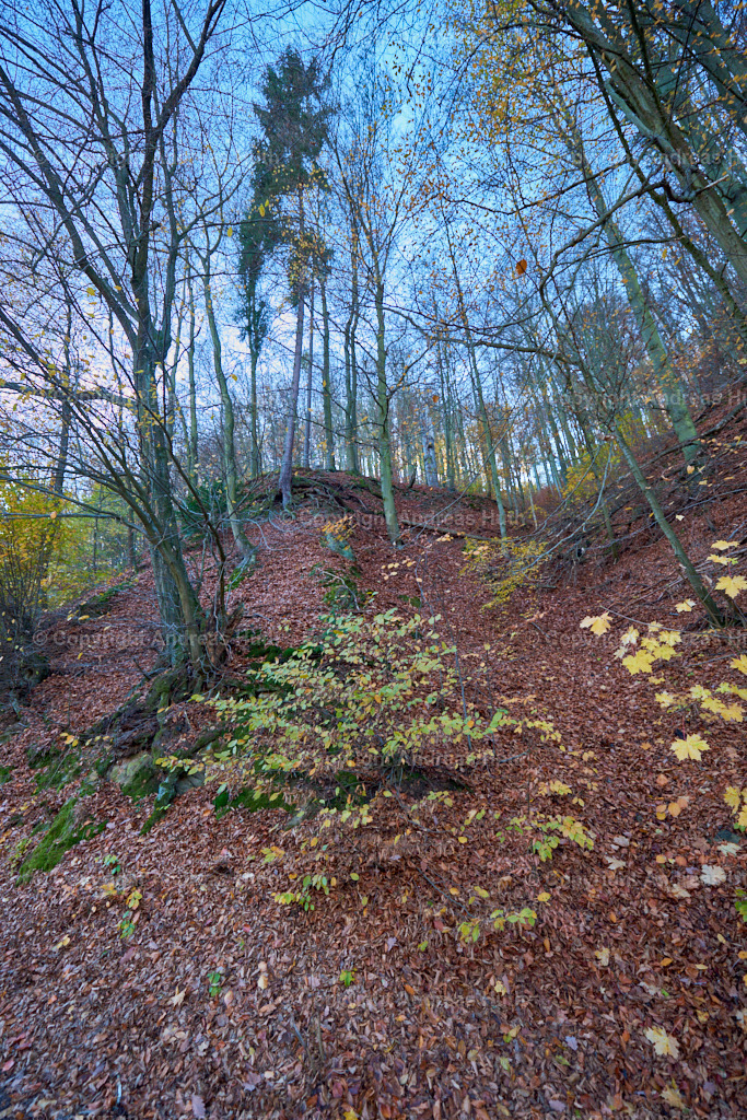 Im Tharanther Wald 01 | Bedeutsame Landschaften Deutschlands - Realisiert mit Pictrs.com