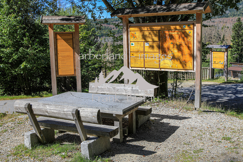 OE7A7836 | Medien- Sport- Entertainmentfotos