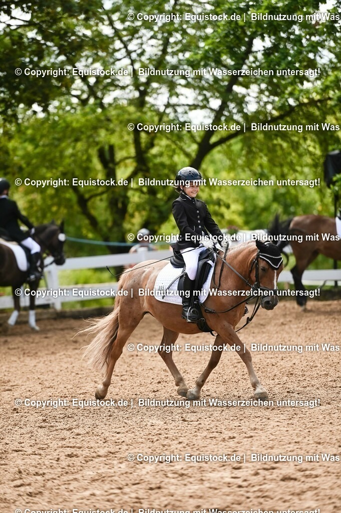 20230716_10-3_Reiter-WB Schritt - Trab - Galopp_0172 | equistock