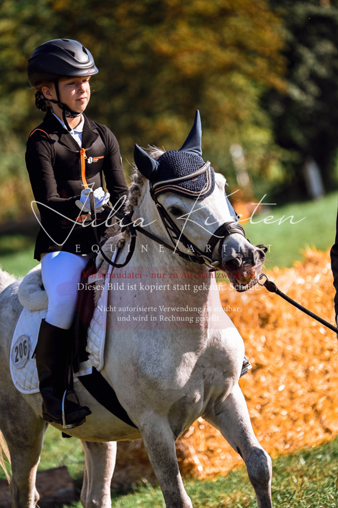 DSC_0417 | Pferde- und Turnierfotografie in Westsachsen. Pferdeportraits, Auftragszeichnungen und intuitive Kunst.