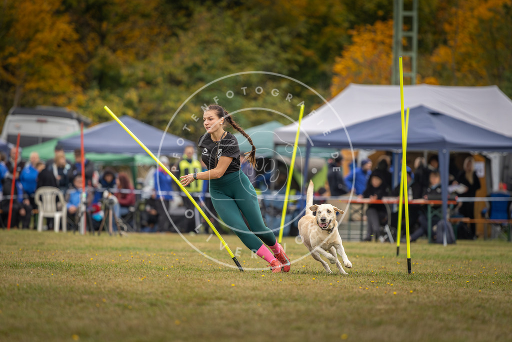 Pfotenfotografie_DV3A3829 | Hundefotografie, Tierfotograf, Pfotenfotografie, Fotoshooting Hund, Hunde Portrait, Hundesport, Hundeportraits, Heideshooting, Hunde, Sportfotograf, Hundefotograf, Turnierhundsport, THS,  - Realisiert mit Pictrs.com