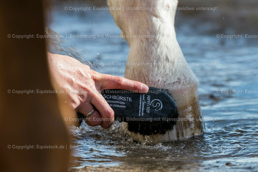 20150414_B__rsten_0009 | equistock