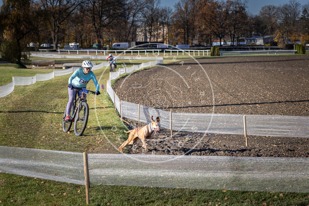 CaniXpix_DV3A4042 | Hundefotografie, Tierfotograf, Pfotenfotografie, Fotoshooting Hund, Hunde Portrait, Hundesport, Hundeportraits, Heideshooting, Hunde, Sportfotograf, Hundefotograf, Turnierhundsport, THS,  - Realisiert mit Pictrs.com