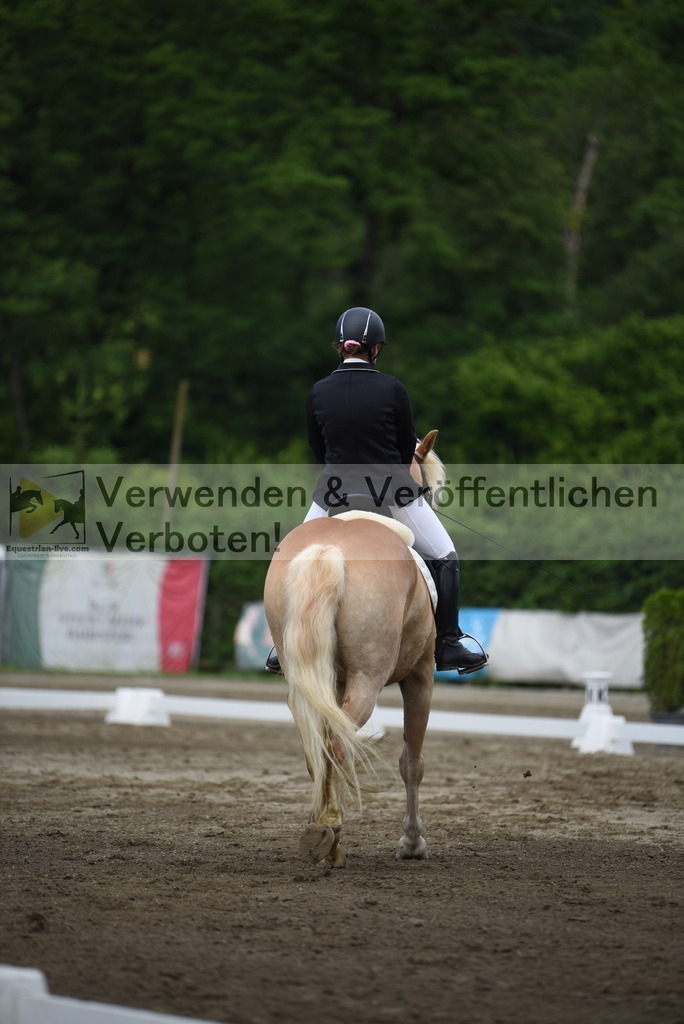 DSC_7801 | equestrian-live-com