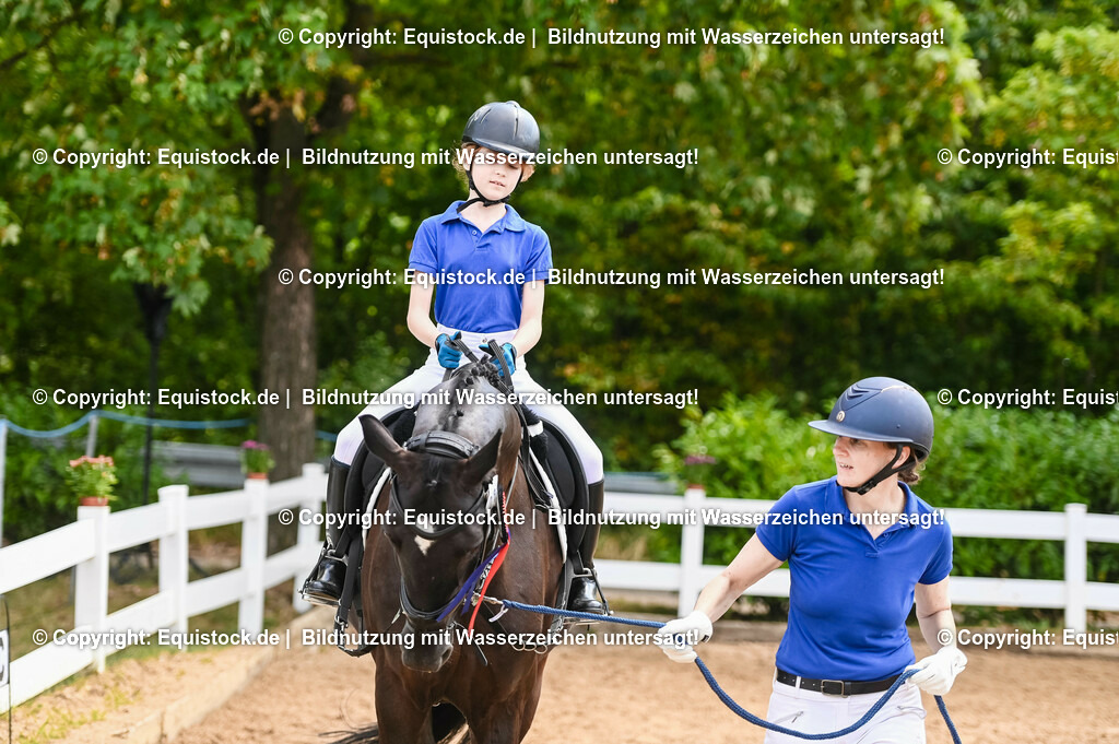 20230716_11_Führzügel-WB_0136 | equistock