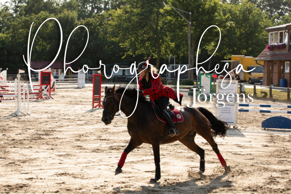 IMG_3529 | photographesa-joergens - Realisiert mit Pictrs.com