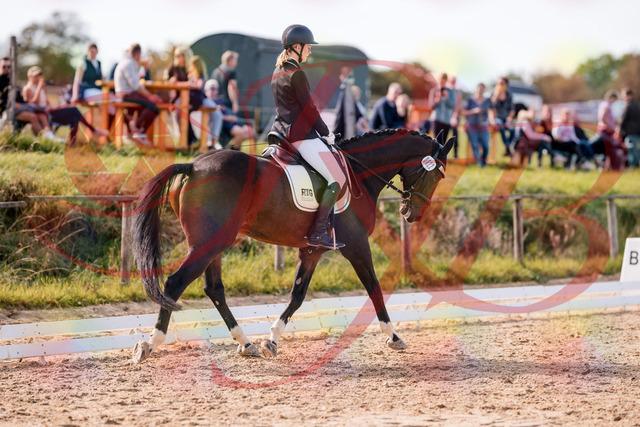 2026_10_03_Siefer-Hof_132530_Z81_76269767 | Professionelle Reitsport-, Turnier- und Eventfotografie von Robert Broda. Galerien mit ausgewählten und bearbeiteten Bildern direkt online ansehen und bestellen.