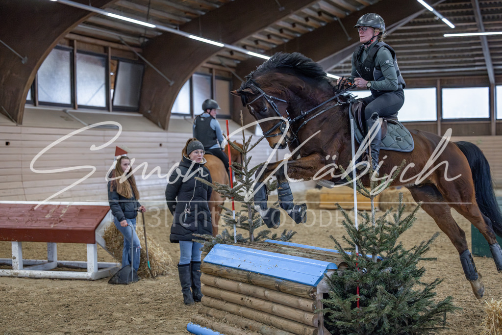 20260221-_3LI0027 | Tierfotografie Pferde, Hunde, Katzen, Haustiere.
Turnierfotografie Reitturniere, Reiten, Springreiten, Dressur in Hanau, dem Main-Kinzig-Kreis und dem Rhein-Main- Gebiet um Frankfurt