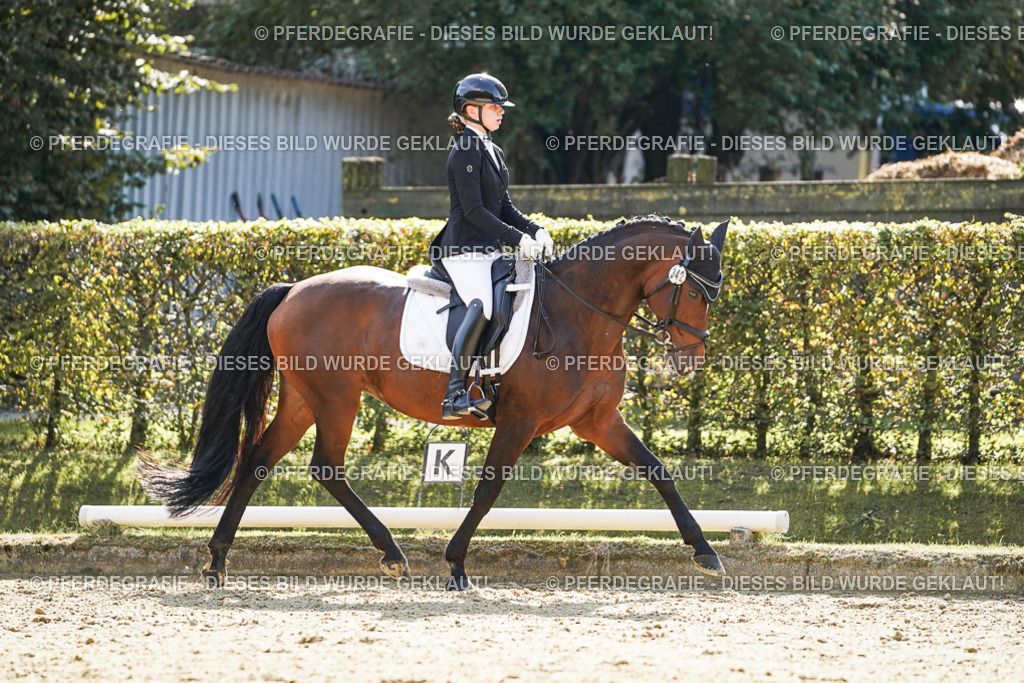 DSC07280 | Pferdegrafie