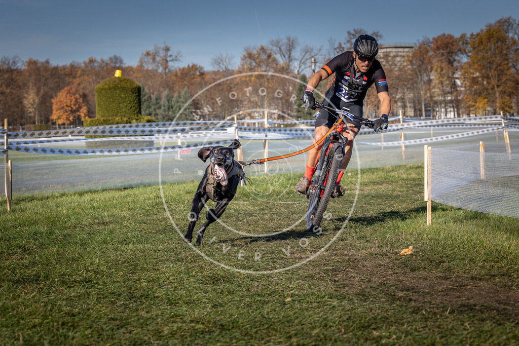 CaniXpix_0L8A5235 | Hundefotografie, Tierfotograf, Pfotenfotografie, Fotoshooting Hund, Hunde Portrait, Hundesport, Hundeportraits, Heideshooting, Hunde, Sportfotograf, Hundefotograf, Turnierhundsport, THS,  - Realisiert mit Pictrs.com