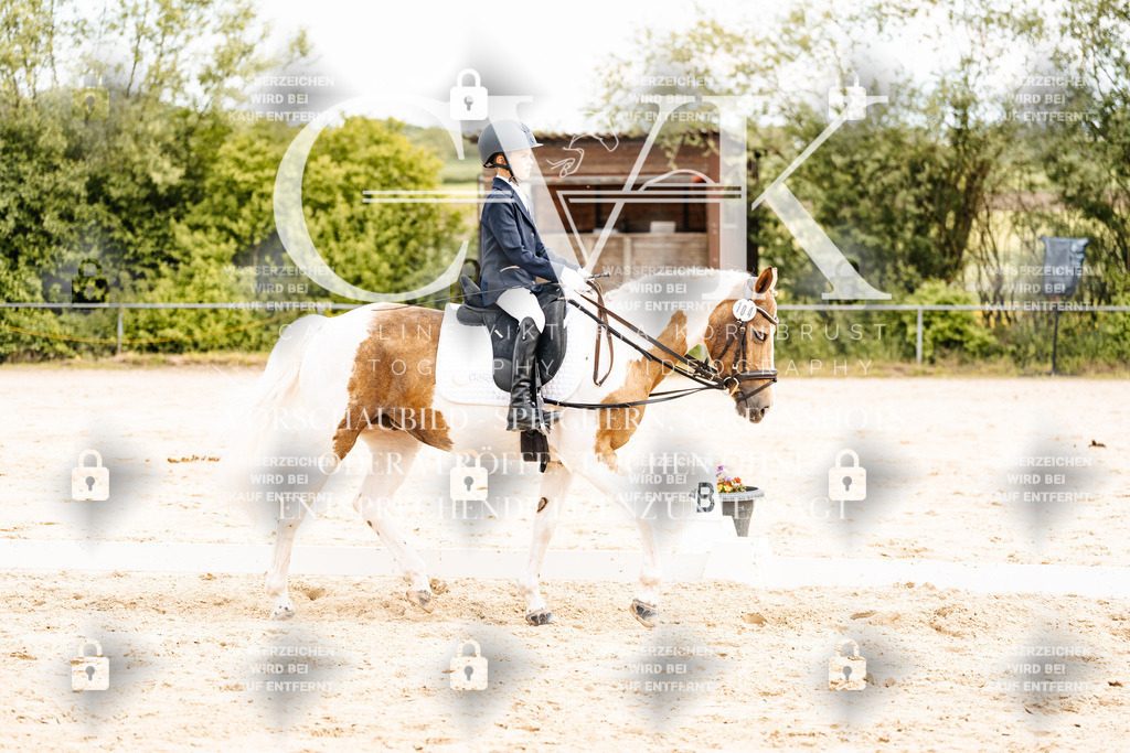 CK904454 | Turnierfotografie Pferdefotografie Trier Rheinland-Pfalz Pferdesport Reitsport Tierfotografie Sportfotografie Pferdevideo Pferdevideografie Equestrianvideography equestrianphotography  - Realisiert mit Pictrs.com
