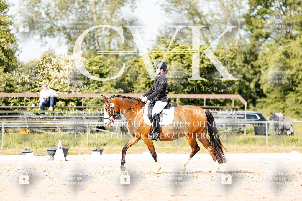 CK900555 | Turnierfotografie Pferdefotografie Trier Rheinland-Pfalz Pferdesport Reitsport Tierfotografie Sportfotografie Pferdevideo Pferdevideografie Equestrianvideography equestrianphotography  - Realisiert mit Pictrs.com