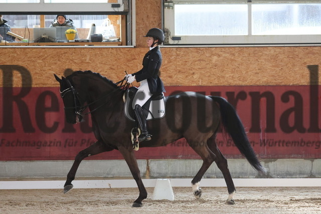 Balingen_2025_Sichtungsturnier_Junge Reiter_Dressurprfg.Kl.S_Antonia Müller_Forza 4 (6) | Alle Fotos der Reiterjournal Fotografin Doris Matthaes im Reiterjournal Online-Fotoshop. - Realisiert mit Pictrs.com