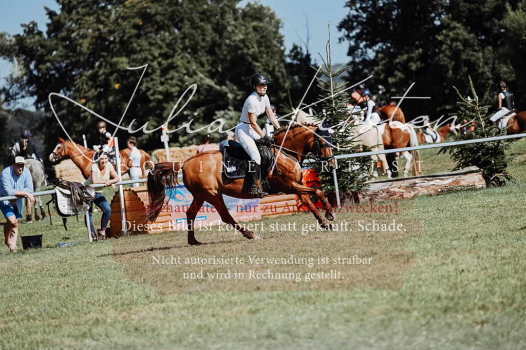 DSC_6893 | Pferde- und Turnierfotografie in Westsachsen. Pferdeportraits, Auftragszeichnungen und intuitive Kunst.
