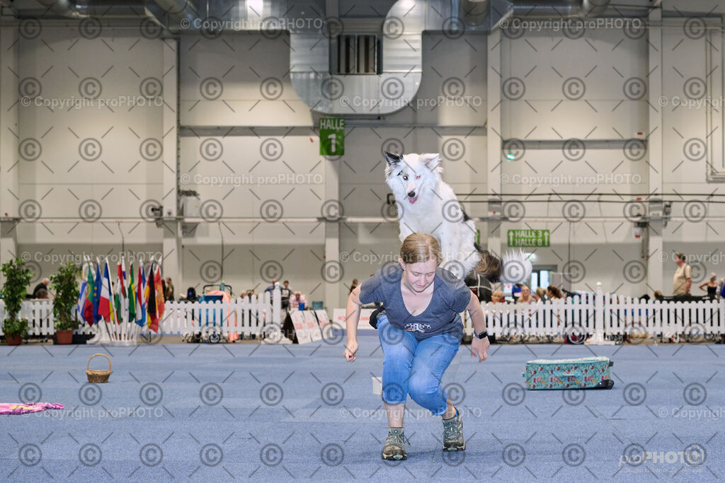 202406_ÖKV-IHA-Tulln24_NZ9_7686 | proPHOTO - Realisiert mit Pictrs.com