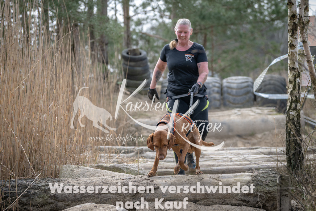 1114DSC_8348 | kk-dogfotos