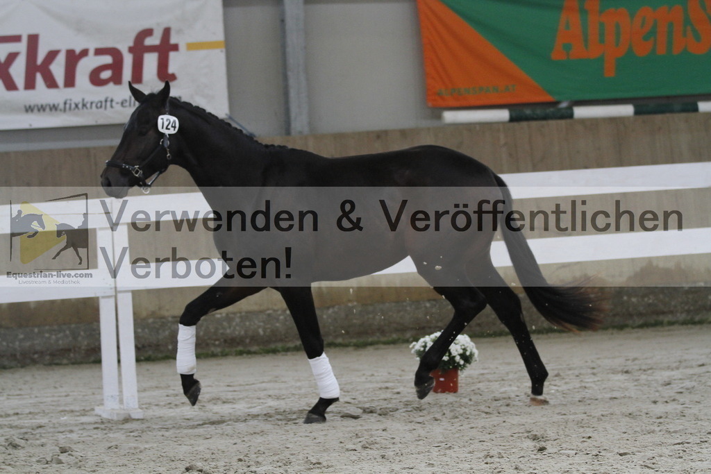 _MG_9676 | equestrian-live-com