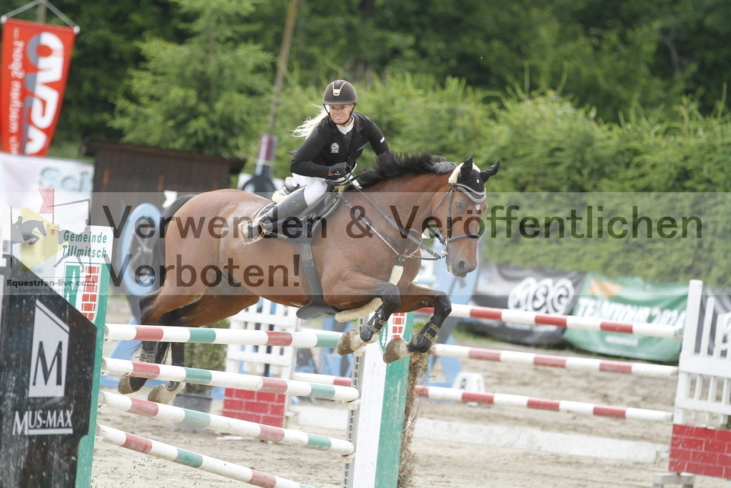 _MG_5446 | equestrian-live-com