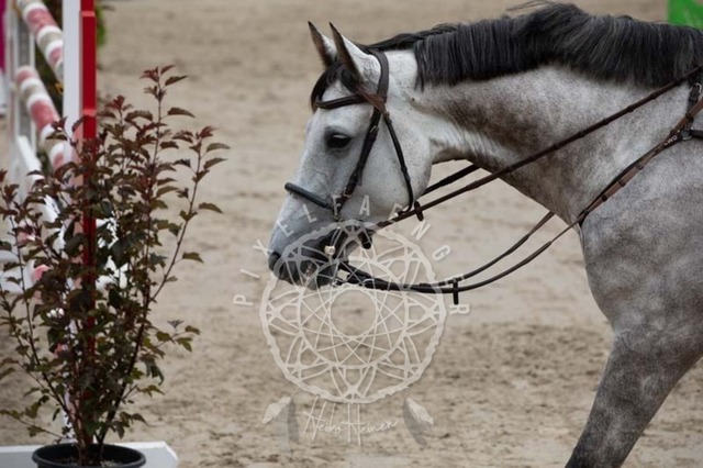 2B4A2529 | pixelfaenger - Realisiert mit Pictrs.com