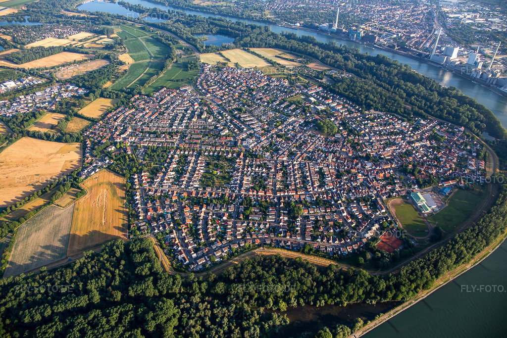 Luftbild: Alta Ripa in der Rheinbiegung in Altrip im Bundesland Rheinland-Pfalz in Deutschland. Foto: IMG_136857.jpg vom 24.06.2023 durch Werner Riehm/FLY-FOTO.de