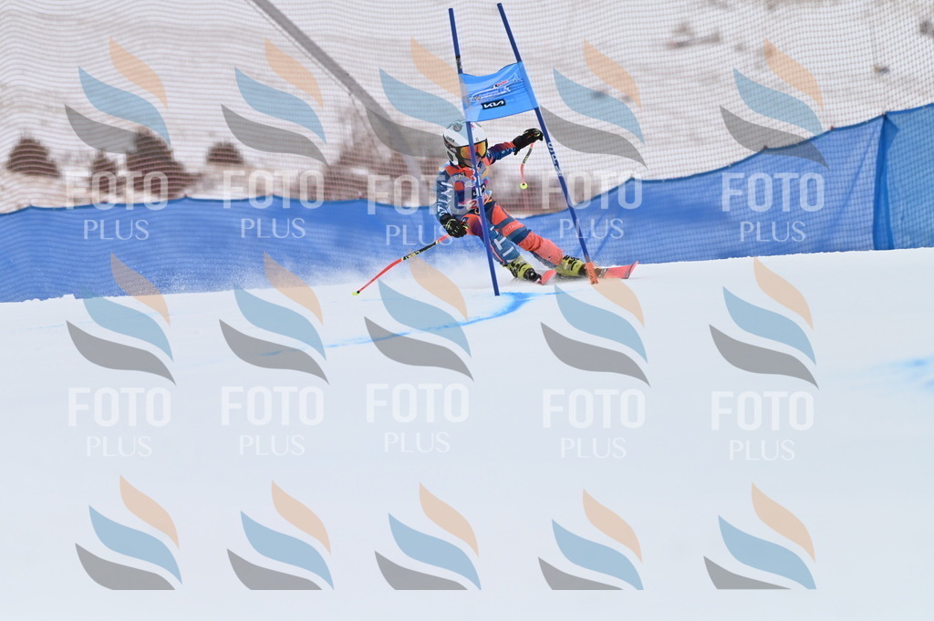 BGV_2512 | holidayphoto