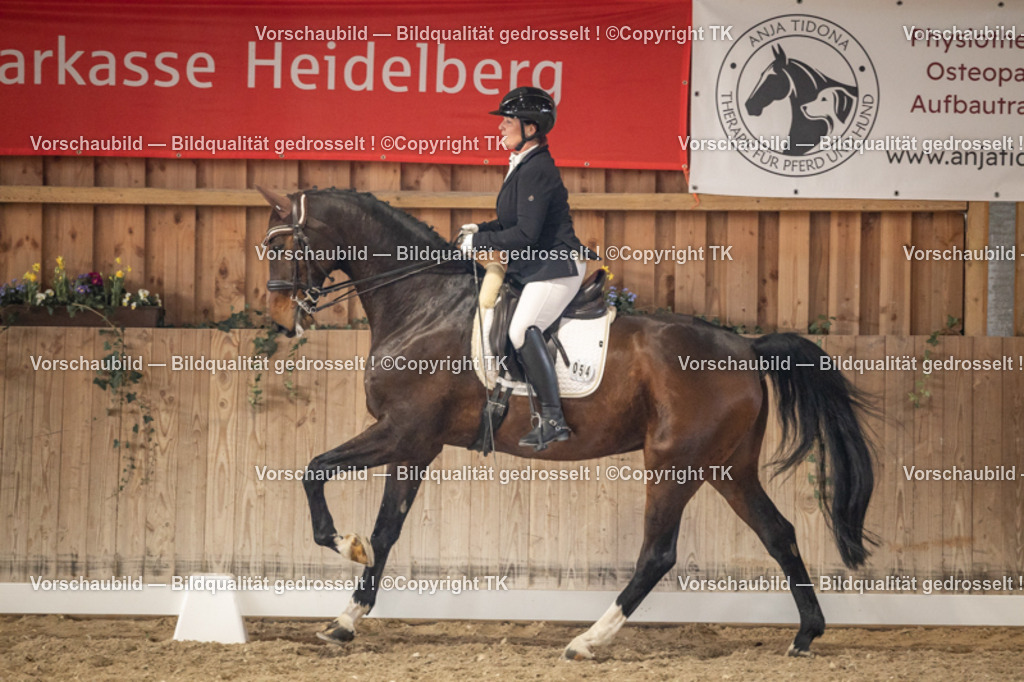 _D5A9234 | Emotionale Pferde- & People-Fotografie rund um Heidelberg, Leimen & Umgebung. Natürliche Fotos von Pferd, Mensch & Familie. Jetzt Termin sichern!