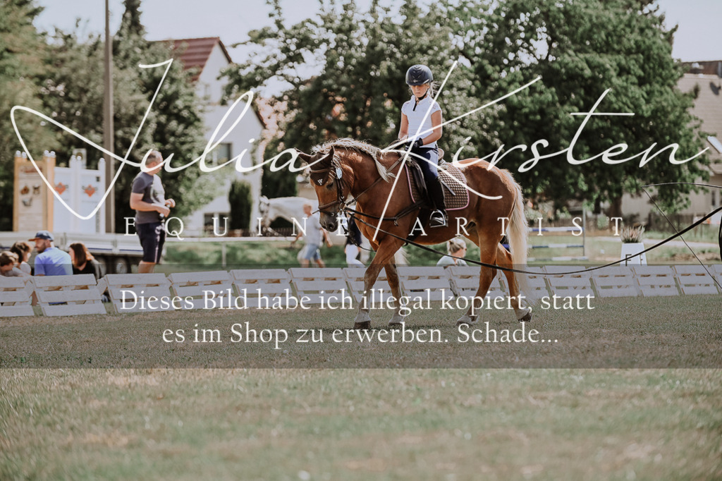 DSC_7810 | Pferde- und Turnierfotografie in Westsachsen. Pferdeportraits, Auftragszeichnungen und intuitive Kunst.