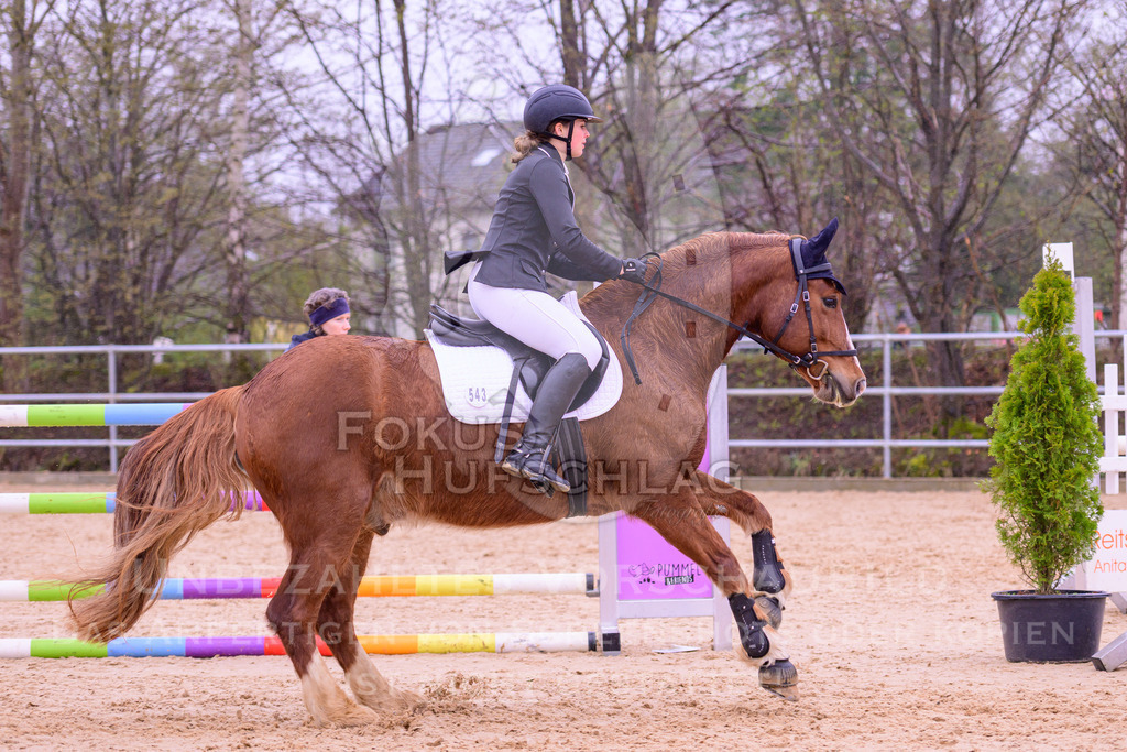 12042026-Mammendorf-Prfg38-0388 | Fokus Hufschlag Fotografie - Realisiert mit Pictrs.com