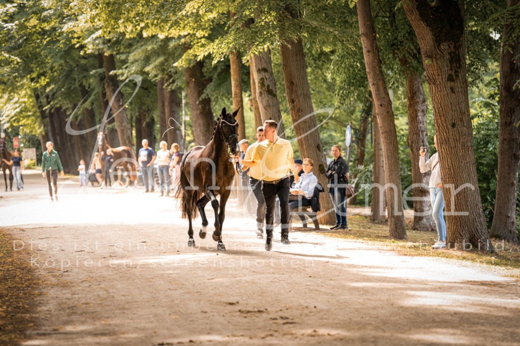 FrPfM00115 | Leoni Ertmer Photography - Realisiert mit Pictrs.com