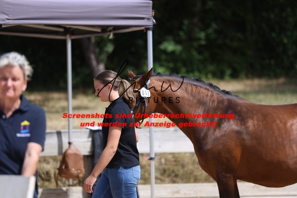 Fohlenschau_Schwäbisch_Hall_Ponys_KN 42_1 | lmwpictures - Realisiert mit Pictrs.com