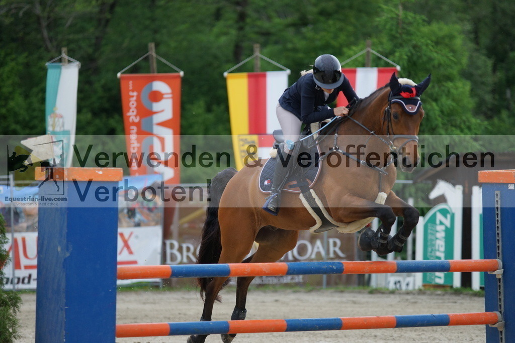 DSC07244 | equestrian-live-com