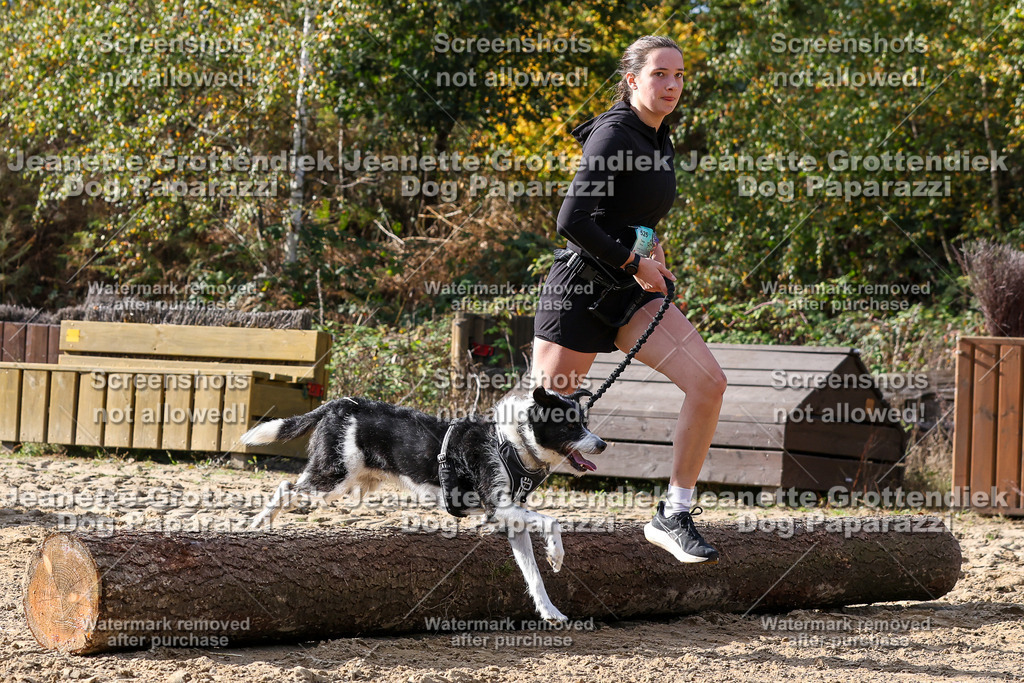 Dog Paparazzi - Strongdog 10-25-5861 | Dog Paparazzi Jeanette Grottendiek Fotografie & Videografie - Realisiert mit Pictrs.com