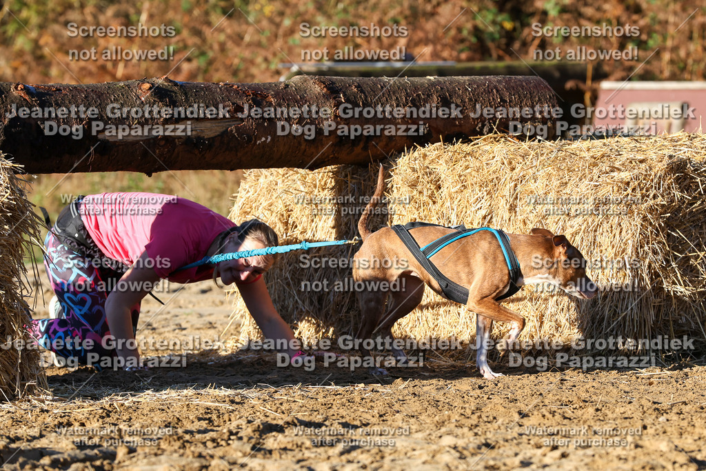 Dog Paparazzi - Strongdog 10-25-1227 | Dog Paparazzi Jeanette Grottendiek Fotografie & Videografie - Realisiert mit Pictrs.com