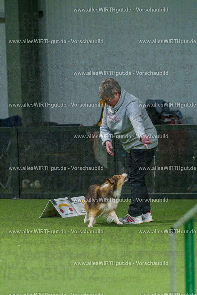 7R504839 | Professionelle Tierfotografie in Mönchengladbach von Daniel Wirth (allesWIRTHgut). Liebevolle & natürliche Bilder von Hunden & Katzen für unvergessliche Erinnerungen.