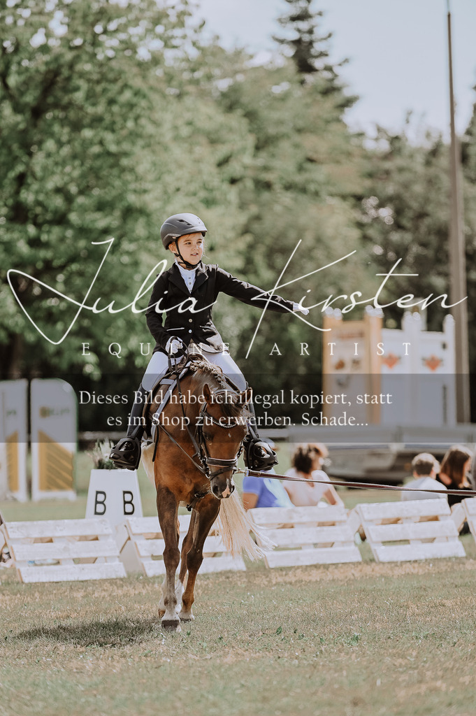 DSC_7632 | Pferde- und Turnierfotografie in Westsachsen. Pferdeportraits, Auftragszeichnungen und intuitive Kunst.